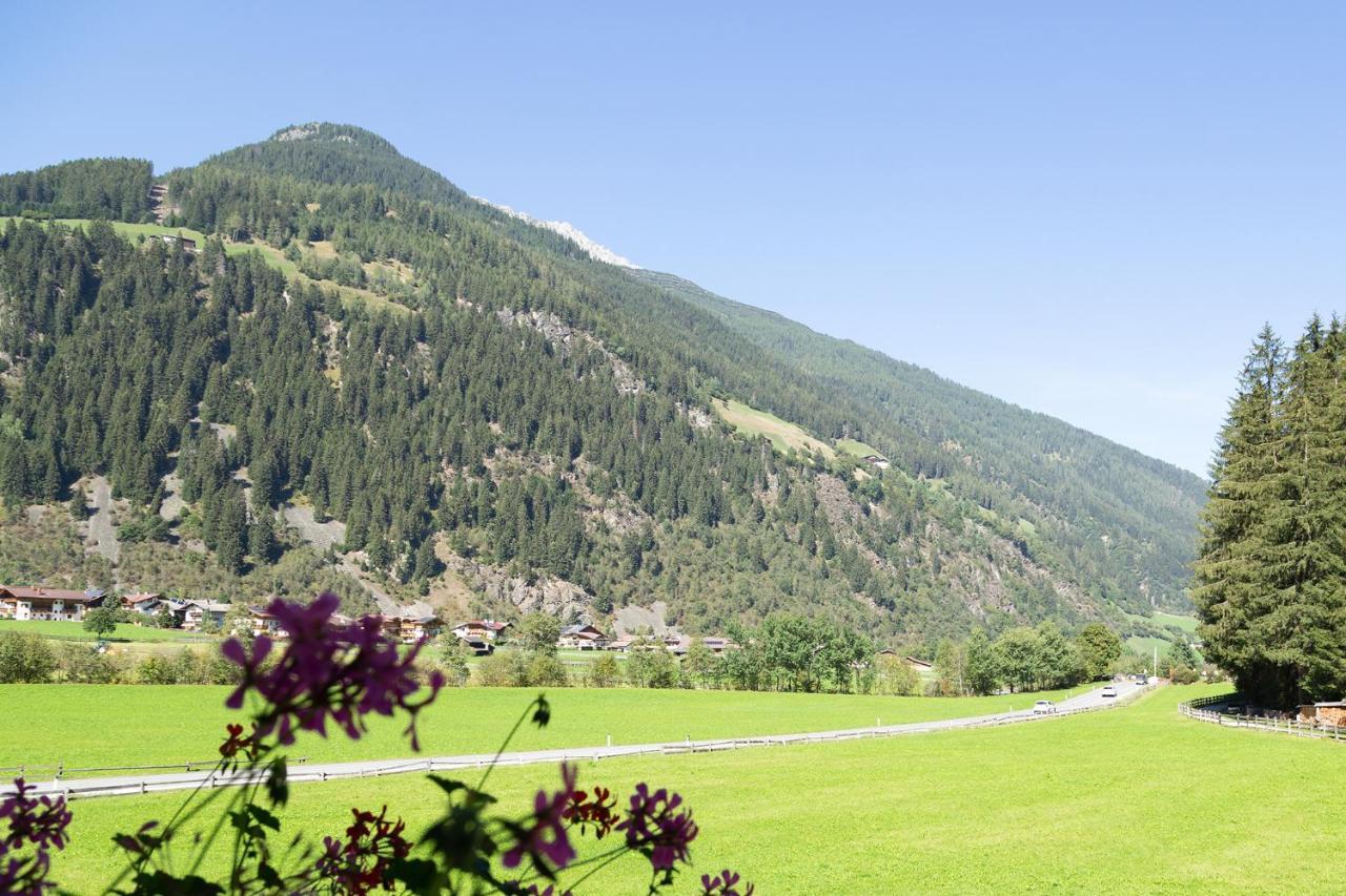 Pension Peter Neustift im Stubaital Exterior photo